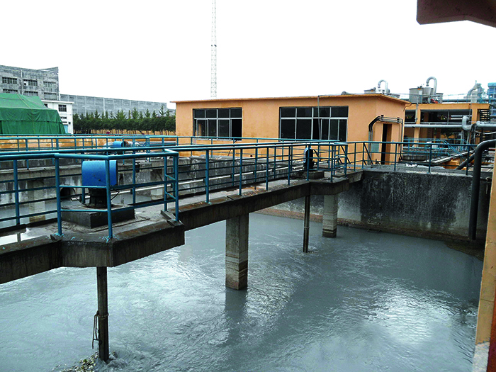 Wanguo Paper Industry Sewage Treatment Project